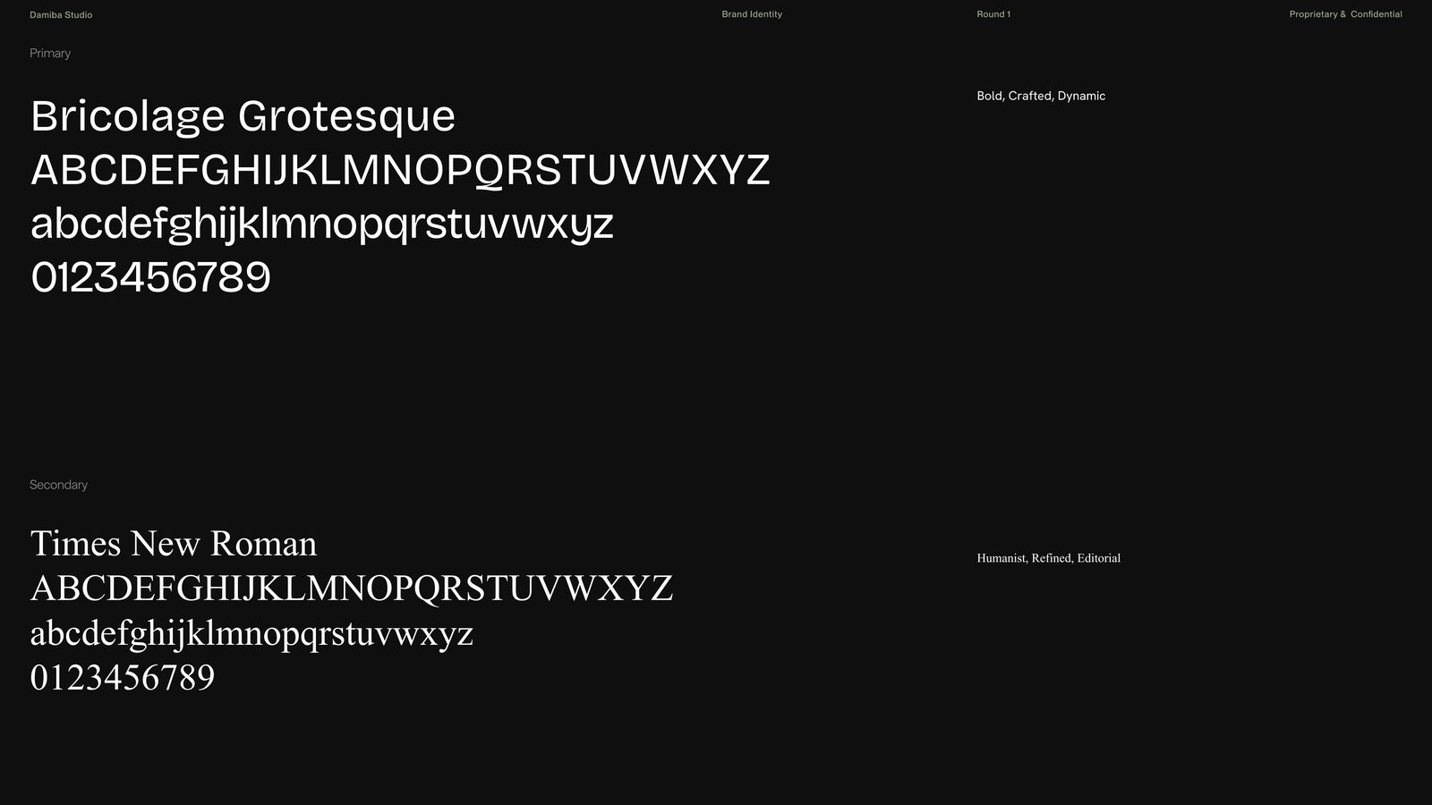 Bricolage Grotesque and Times New Roman specimen