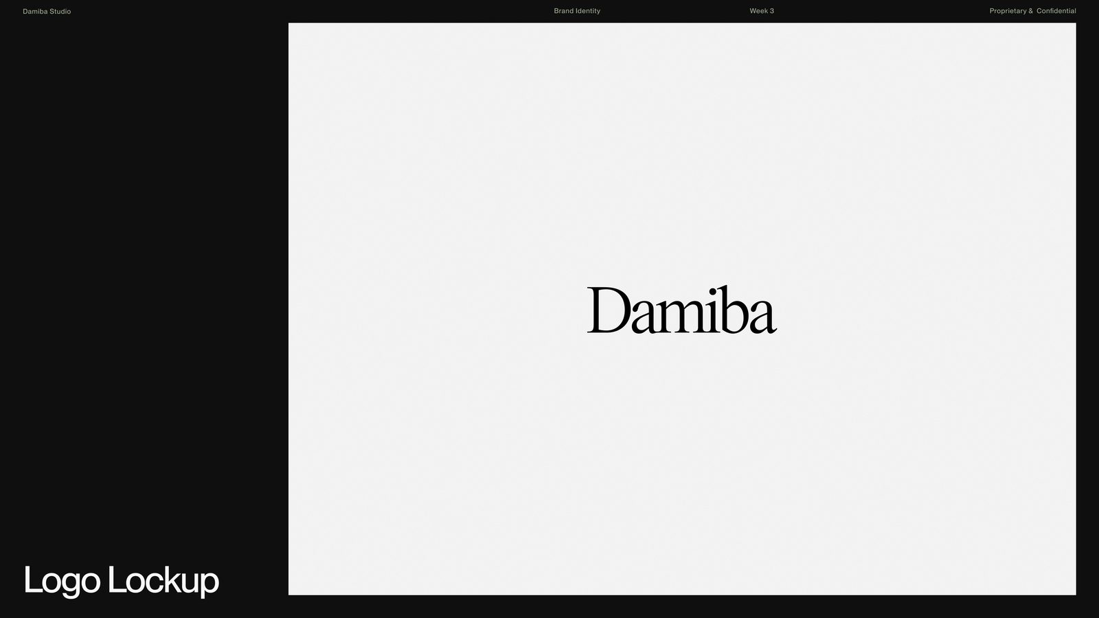 DAMIBA wordmark on white