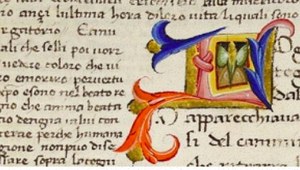 DAMIBA illuminated initial, the house mark